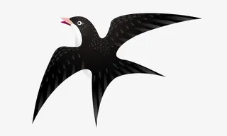 写实小燕子免抠