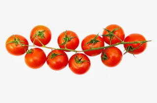 实物新鲜红色分支带藤樱桃番茄免抠