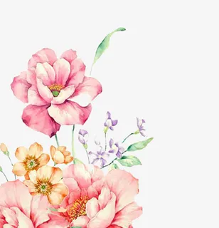 手绘花装饰图案免抠