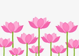 粉色荷花丛矢量图免抠
