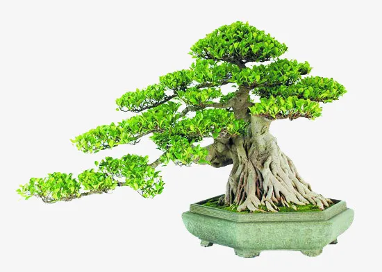 绿色盆景免抠