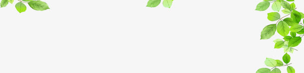 绿色清新卡通春天树叶免抠