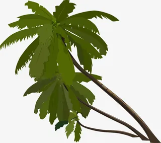 夏日 海滩棕榈树免抠