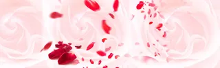 情人节花瓣女性电商海报banner背景高清