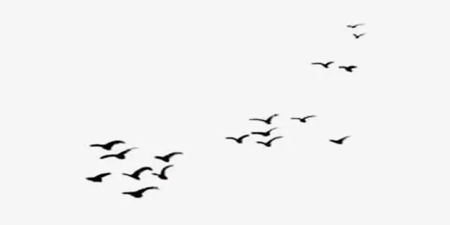 中国风水墨画黑色大雁图片免抠