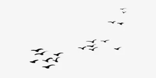 中国风水墨画黑色大雁图片免抠