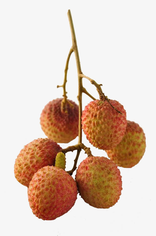 荔枝免扣免抠