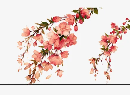 漂浮的桃花免扣素材免抠