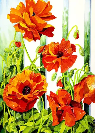 红色多层开放花朵免抠