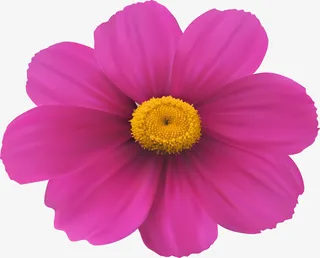 小清新红色花朵免抠