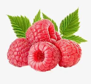 新鲜树莓水果素材免抠