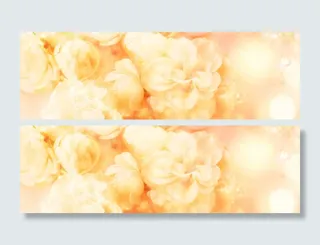 黄色花卉背景高清