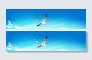 教育banner创意设计高清