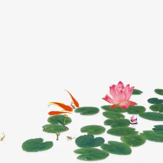 中国风之荷叶免抠