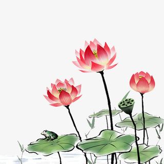 水墨，荷花荷叶，png免扣素材免抠
