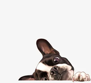 趴着的小狗免抠