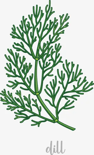 香料做食品用的原料免抠