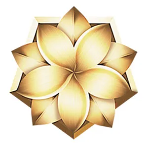 金色花瓣装饰性图案免抠
