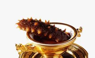 贡品海参素材图片免抠