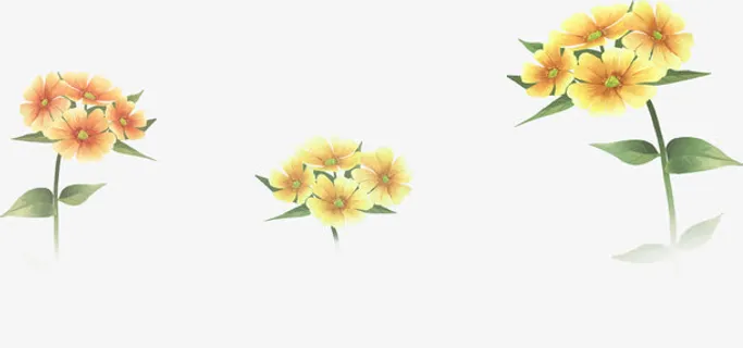 春天手绘黄色田园花朵免抠