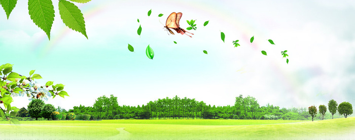 春天清新树叶蝴蝶背景banner高清