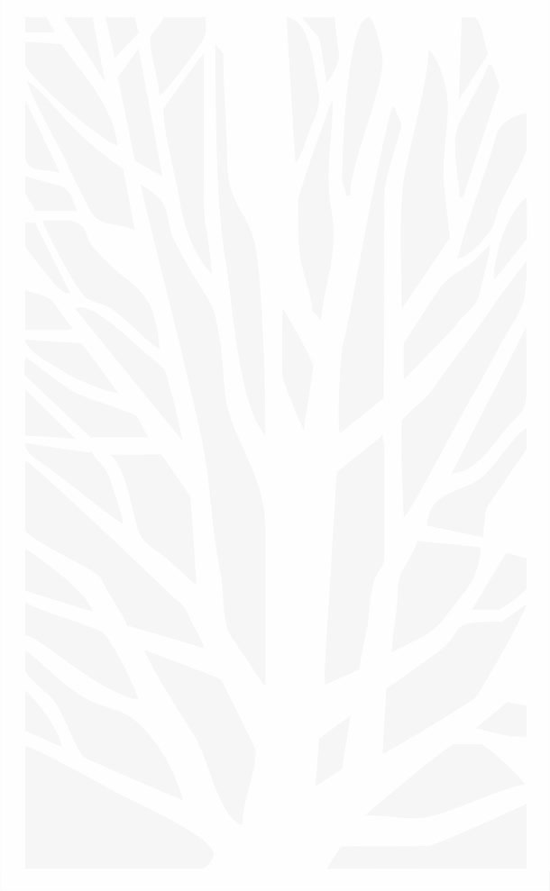 镂空雕花免抠