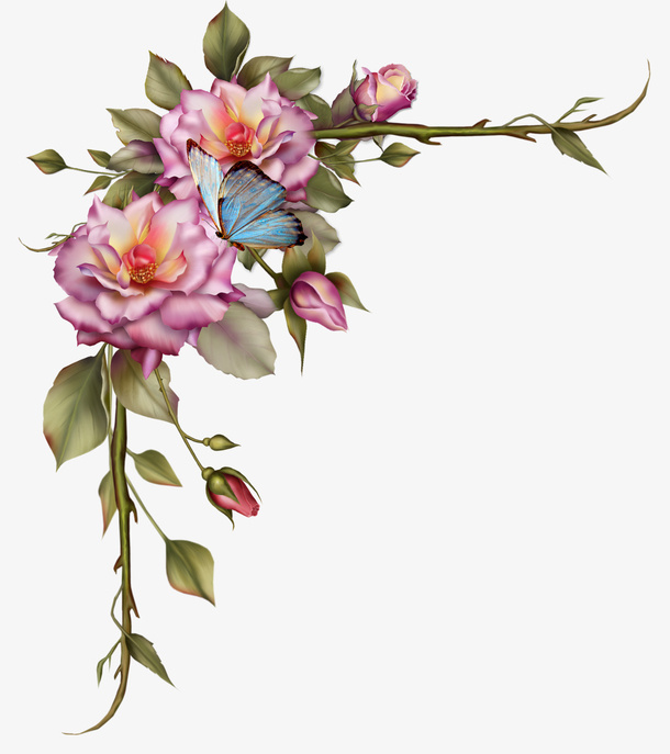 手绘玫瑰花边框装饰免抠