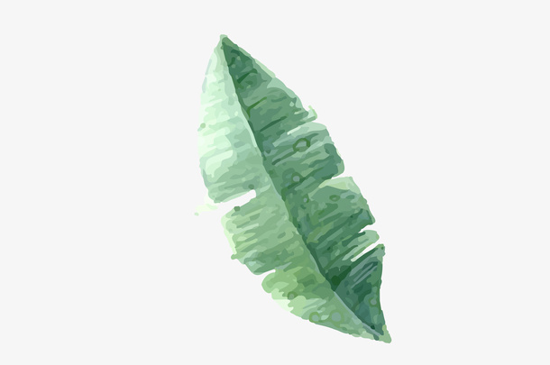 春天isn风树叶免抠
