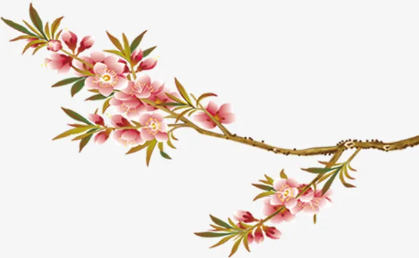 唯美精美花枝花朵桃花树叶树枝免抠