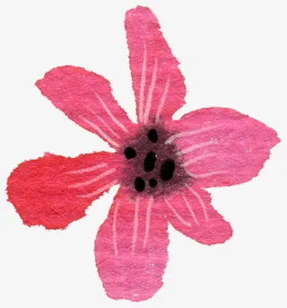 手绘文艺粉色渐变落叶免抠