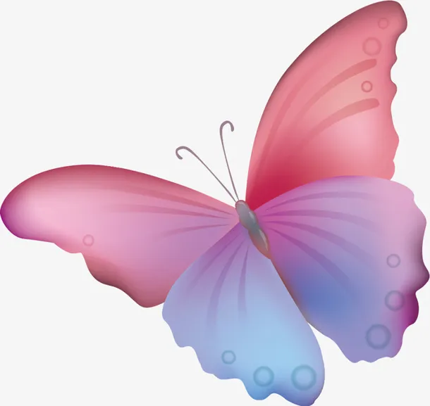 手绘多彩蝴蝶免抠