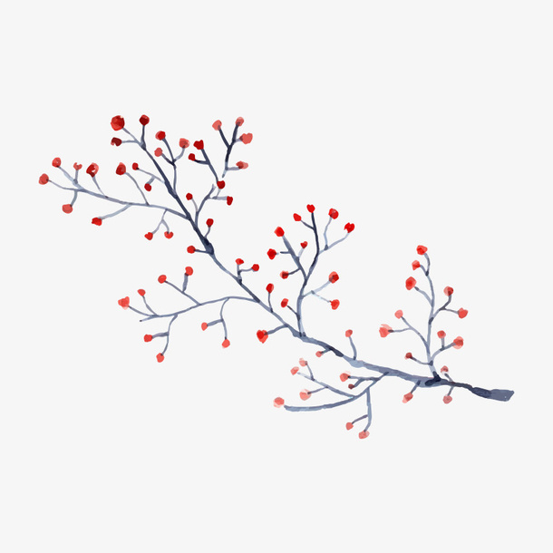 手绘植物免抠