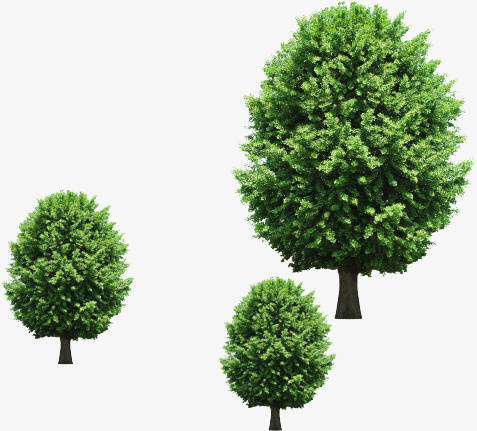 树免抠