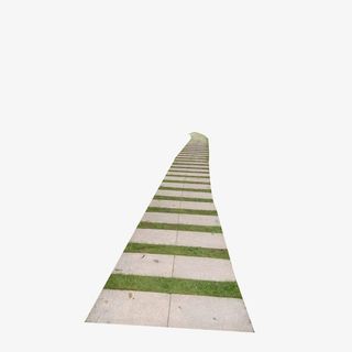 树林里的清新小路免抠