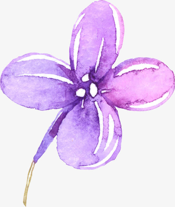 漂浮花免抠