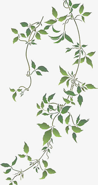手绘春天绿色藤免抠漂浮叶子元素