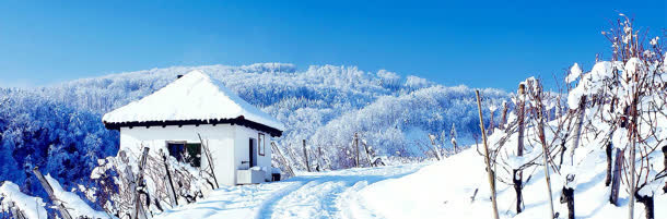 冬天雪景banner创意设计