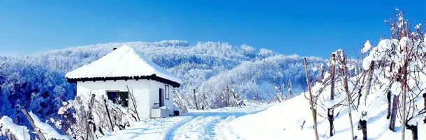 冬天雪景banner创意设计