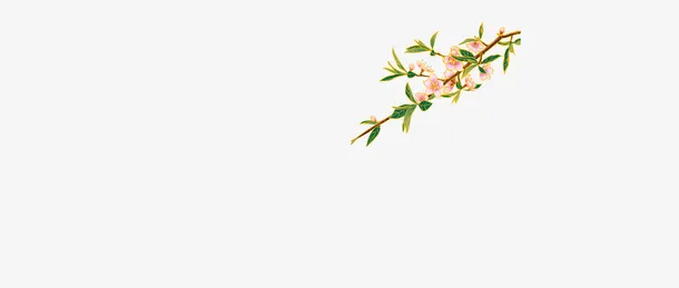 花朵树枝装饰元素手绘花朵免抠