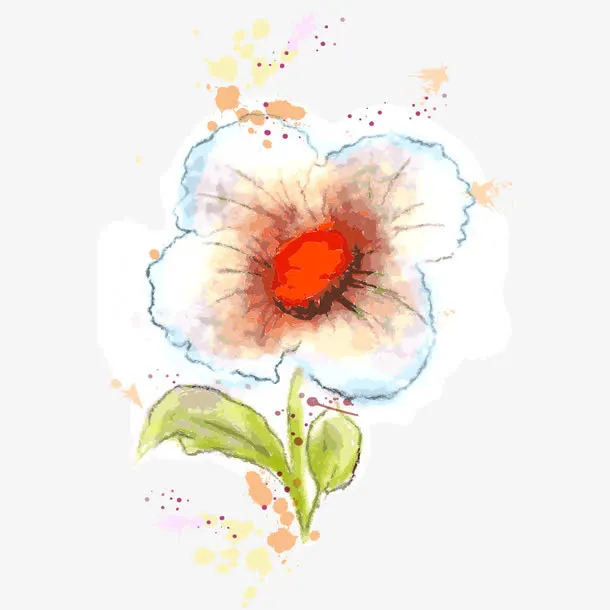 花朵 花卉免抠