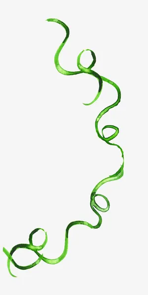 手绘绿色美景枝条免抠