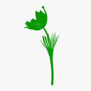 花，花瓣，花朵60免抠