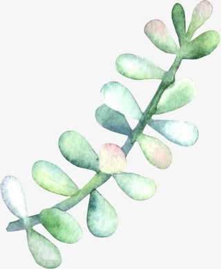 小清新插画广告设计卡通绿色盆栽免抠