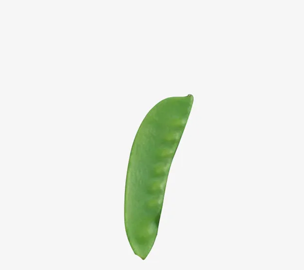 一颗绿色新鲜的扁豆免抠