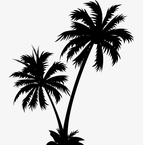 黑色的椰子树免抠