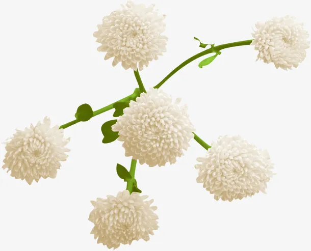 水彩花卉素材手绘花卉素材免抠