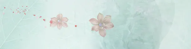 淡雅背景banner