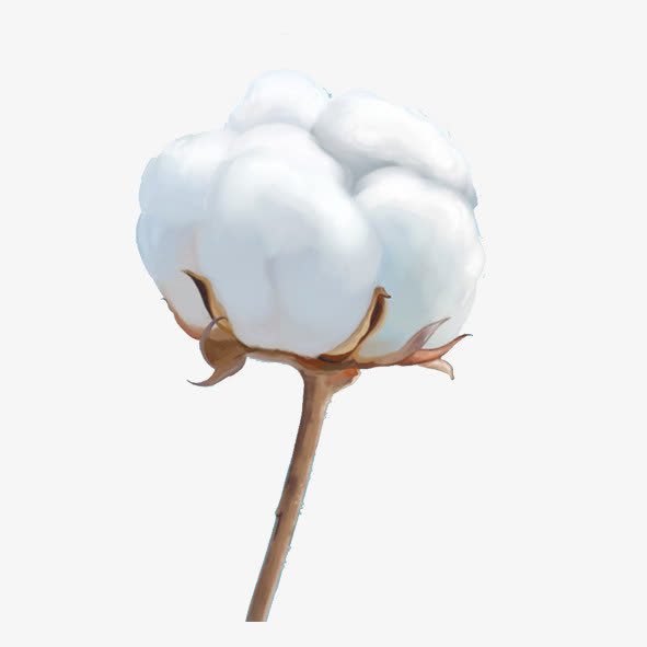 棉花免抠