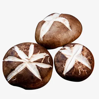 三朵新鲜的香菇免抠