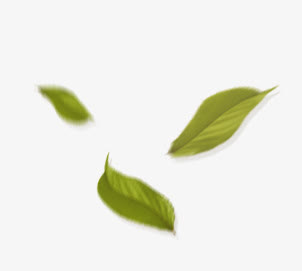 树叶漂浮免抠